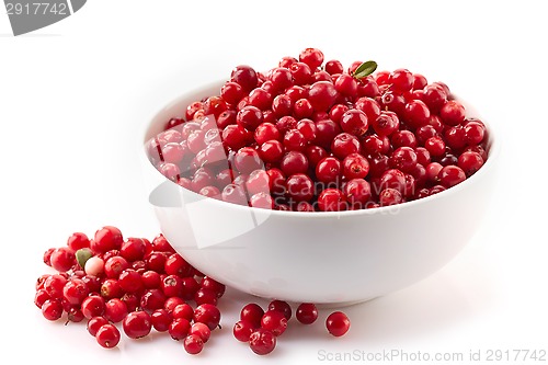 Image of bowl of cowberries