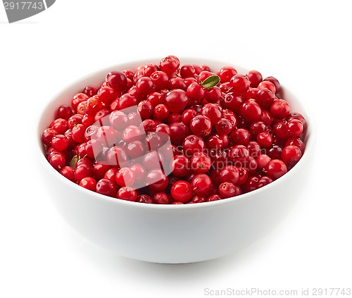 Image of bowl of cowberries