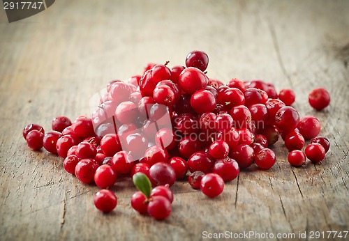 Image of fresh raw cowberries