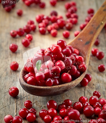 Image of fresh raw cowberries