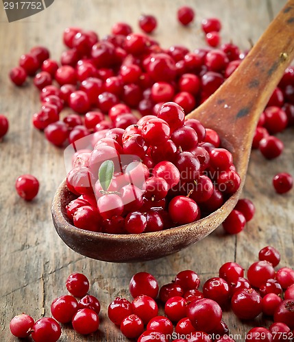Image of fresh raw cowberries
