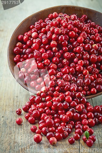 Image of bowl of cowberries