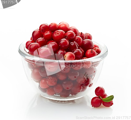 Image of bowl of cowberries