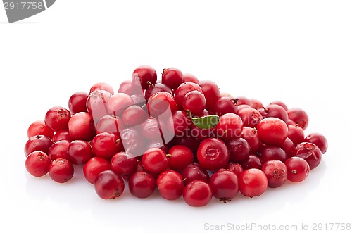 Image of fresh red cowberries 