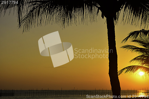 Image of Fiery Beach Sunset