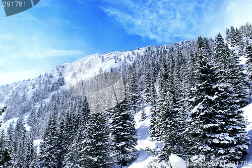 Image of Mountain landscape