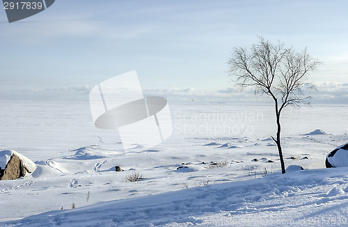 Image of Winter