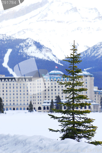 Image of Chateau Lake Louise