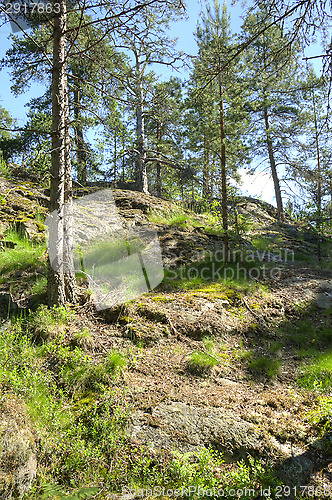 Image of Up to hill