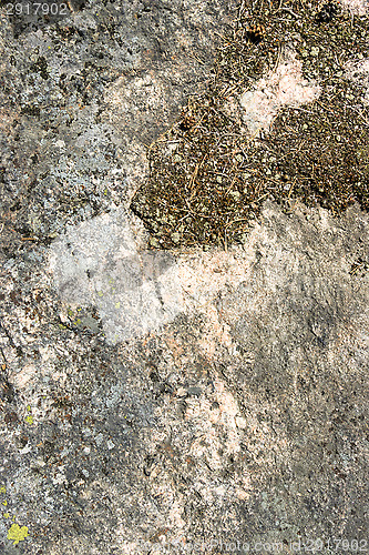 Image of Rock