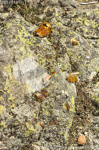 Image of Broken glass bottle