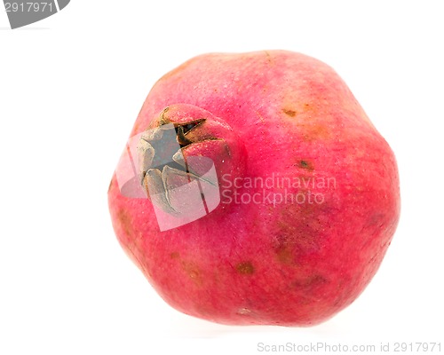 Image of Pomegranate