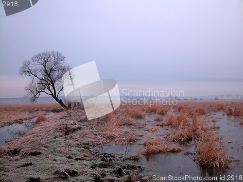 Image of landscape