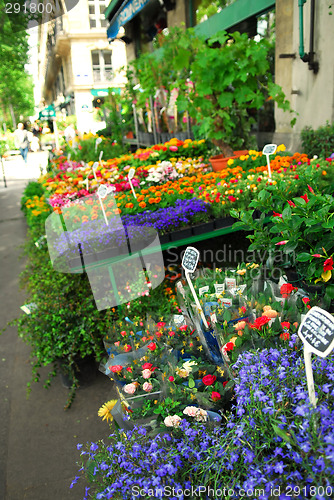 Image of Flower stand in Paris