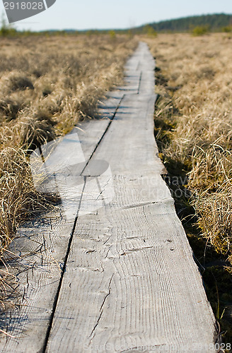 Image of Boardwalks