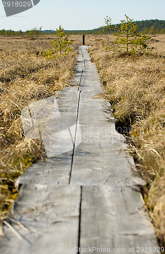 Image of Boardwalks