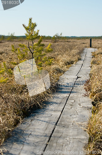 Image of Boardwalks