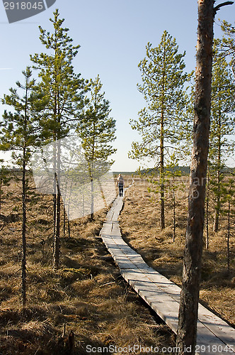 Image of Boardwalks