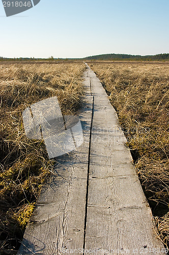 Image of Boardwalks