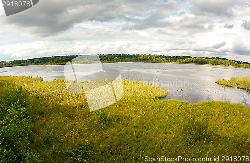 Image of Wetland