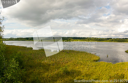 Image of Wetland