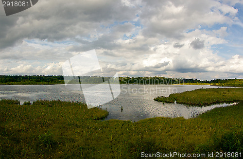 Image of Wetland