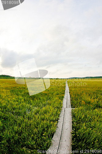 Image of Boardwalks