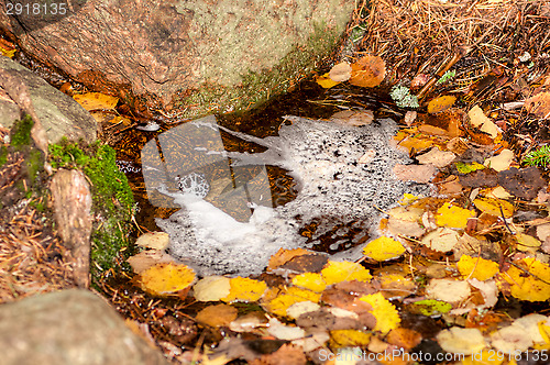 Image of Puddle