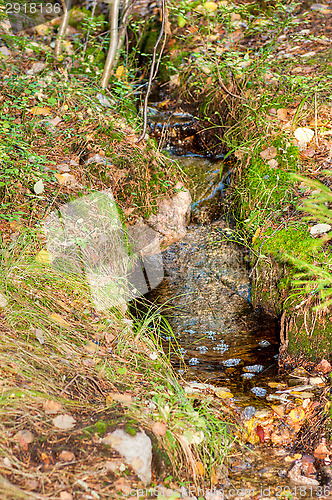 Image of Stream