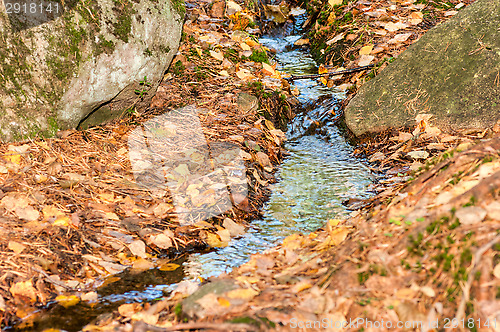 Image of Brook