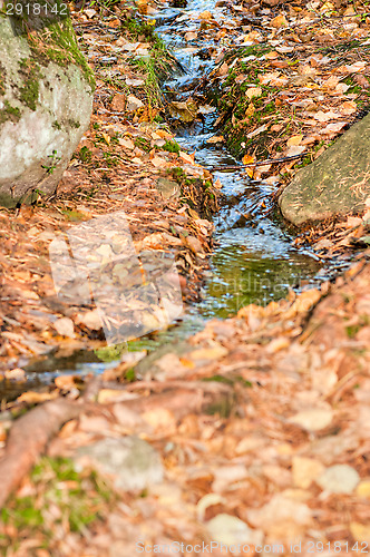 Image of Brook