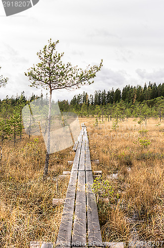 Image of Boardwalks