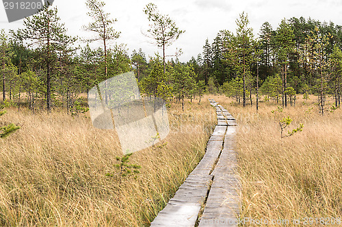 Image of Boardwalks