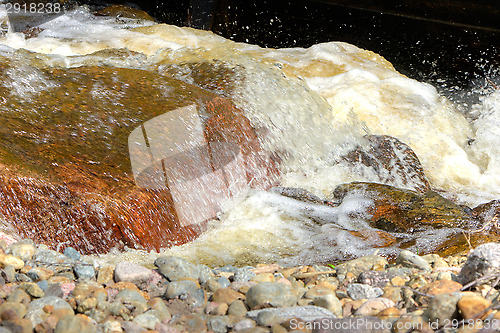 Image of Rapids
