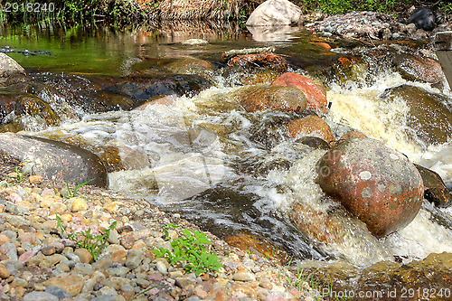 Image of Rapids