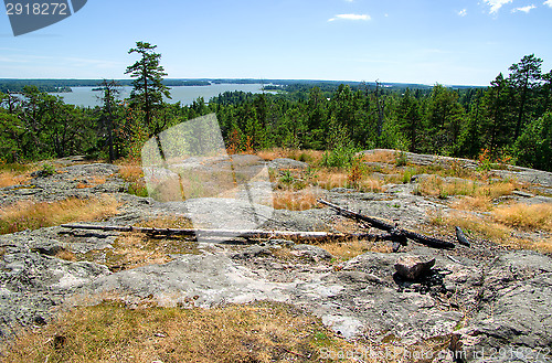 Image of Fire place