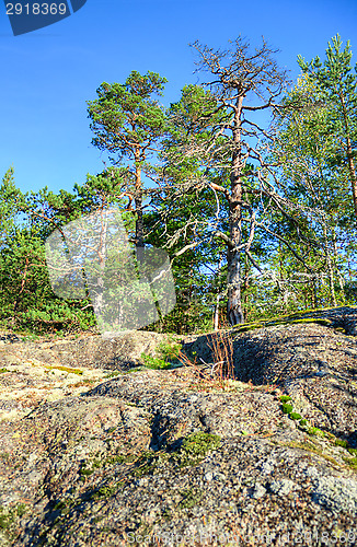 Image of Up to hill