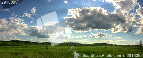 Image of Boardwalks