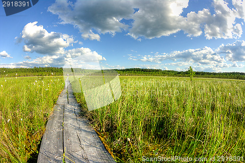 Image of Boardwalks