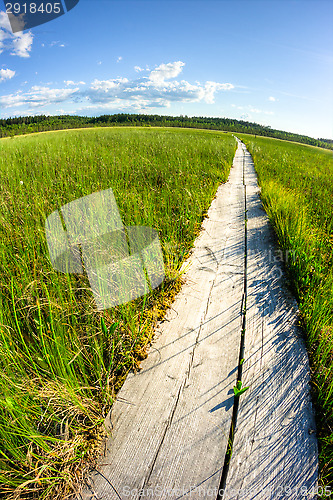 Image of Boardwalks