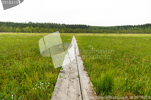 Image of Wetland