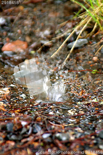 Image of Drop of water