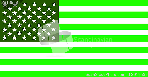 Image of usa green flag
