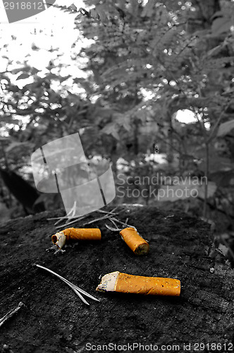 Image of Cigarette ends