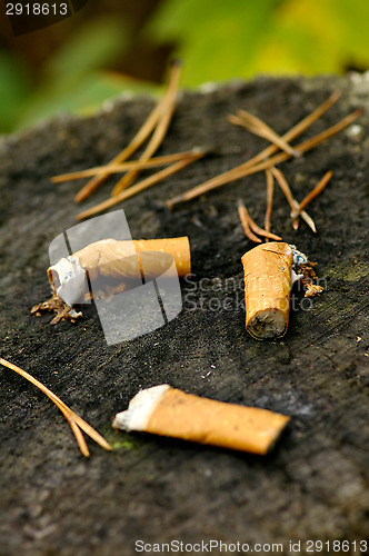 Image of Cigarette ends