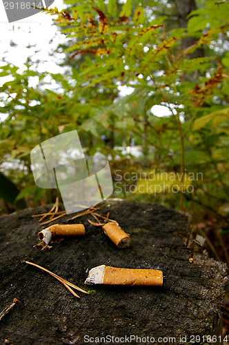 Image of Cigarette ends