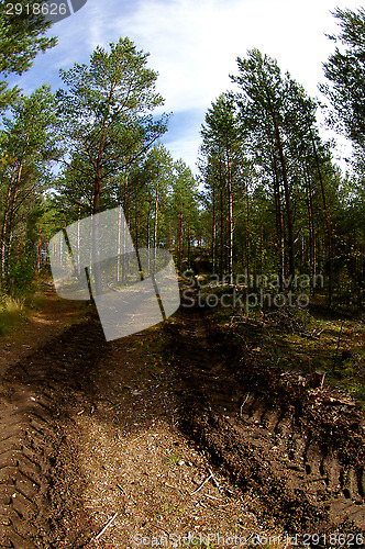 Image of Truck tracks