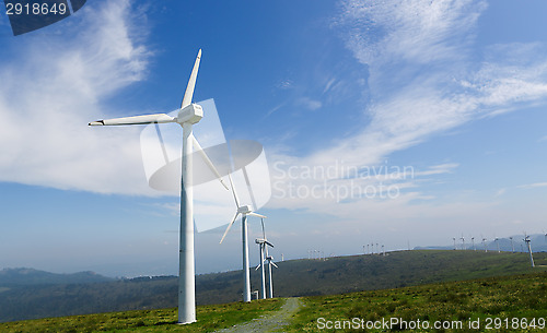 Image of Wind farm