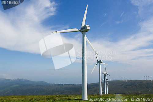 Image of Wind farm