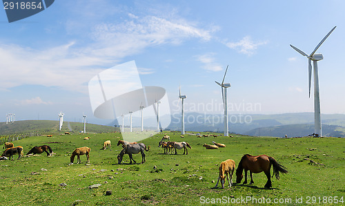 Image of Wind farm